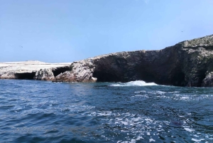 Ballestas & Paracas Reserve from PISCO CRUISESHIP TERMINAL