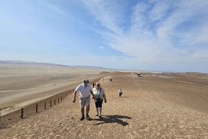 Ballestas & Paracas Reserve from PISCO CRUISESHIP TERMINAL
