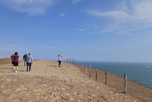 Ballestas & Paracas Reserve from PISCO CRUISESHIP TERMINAL