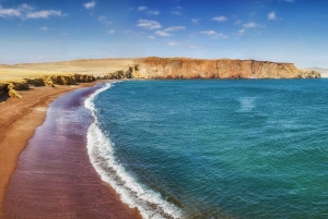 Ballestas & Paracas Reserve from PISCO CRUISESHIP TERMINAL