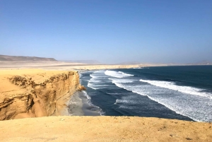 Ballestas & Paracas Reserve from PISCO CRUISESHIP TERMINAL