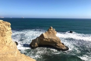 Ballestas & Paracas Reserve from PISCO CRUISESHIP TERMINAL