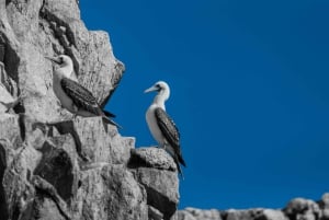 Ballestas & Tambo Colorado from PISCO CRUISESHIP TERMINAL