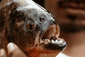 Belén Experience: Market, Canoa & Traditions 2 a 3hrs