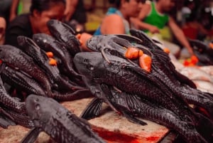 Belén Experience: Market, Canoa & Traditions 2 a 3hrs