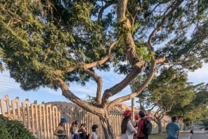 Passeio de bicicleta Miraflores Barranco Huaca Pucllana