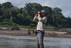 Birdwatching excursion 1.5 hours Tambopata Corridor
