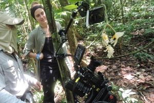 Birdwatching excursion 1.5 hours Tambopata Corridor