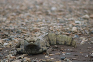 Expedição de barco pelo rio Tambopata