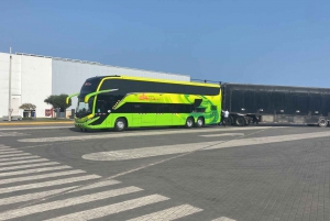 Bus Cama Directo Arequipa Puno