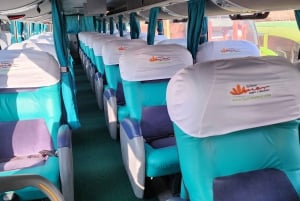 Bus Cama Directo Arequipa Puno