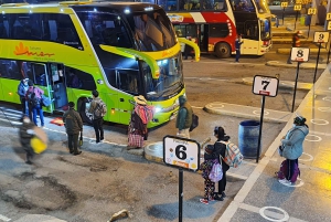 Bus Cama Directo Arequipa Puno