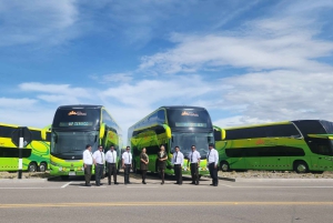 Bus Cama Directo Arequipa Puno