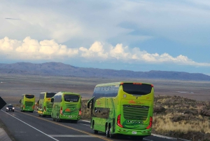 Autobus Cama Directo Arequipa Puno