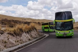 Ônibus direto para Puno Cusco