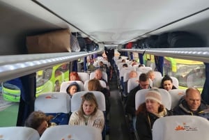 Bus Cusco Puno Con Almuerzo Buffet Incluido