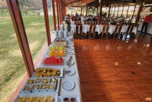 Bus Cusco Puno Con Almuerzo Buffet Incluido