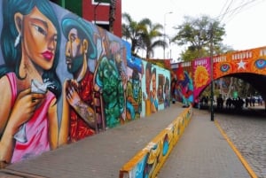 Bus Huacachina - Ica à Lima (de : Huacachina) VOIE UNIQUE