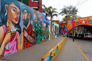 Bus Huacachina - Ica to Lima (from: Huacachina) ONE WAY