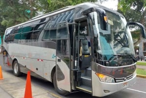Bus Lima to Paracas (from: Miraflores) ONE WAY
