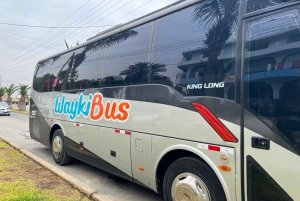 Bus Lima to Paracas (from: Miraflores) ONE WAY
