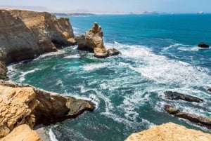 Bus Lima to Paracas (from: Miraflores) ONE WAY