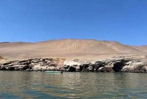 Bus Lima to Paracas (from: Miraflores) ONE WAY