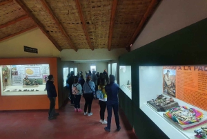 Bus Puno Cusco with Buffet Lunch