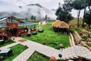 Bus Puno Cusco with Buffet Lunch