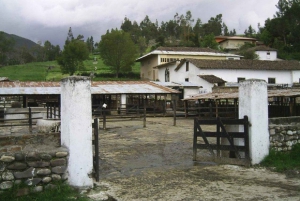 Кахамарка: экскурсия в некрополь инков Отуско, ботанический сад и гасиенду