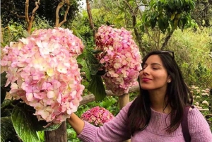 Кахамарка: экскурсия в некрополь инков Отуско, ботанический сад и гасиенду