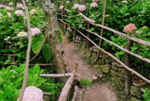 Кахамарка: экскурсия в некрополь инков Отуско, ботанический сад и гасиенду