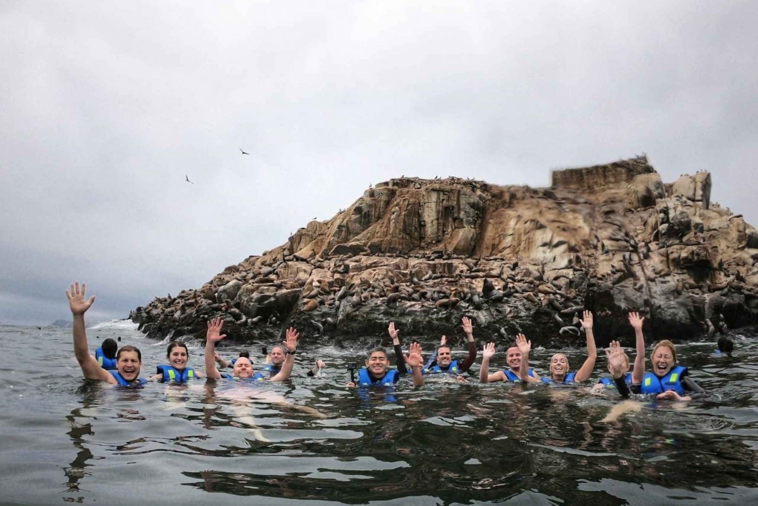 Callao: Schwimmen mit Seelöwen Palomino Inseln Bootstour