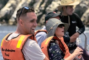 カヤオ：アシカと泳ぐパロミノ諸島ボート ツアー