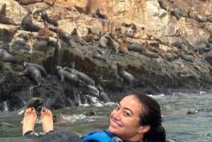 Callao: Schwimmen mit Seelöwen Palomino Islands Bootstour
