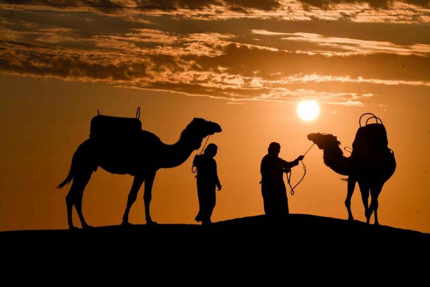 Camel Ride - Unforgettable Desert Experience !