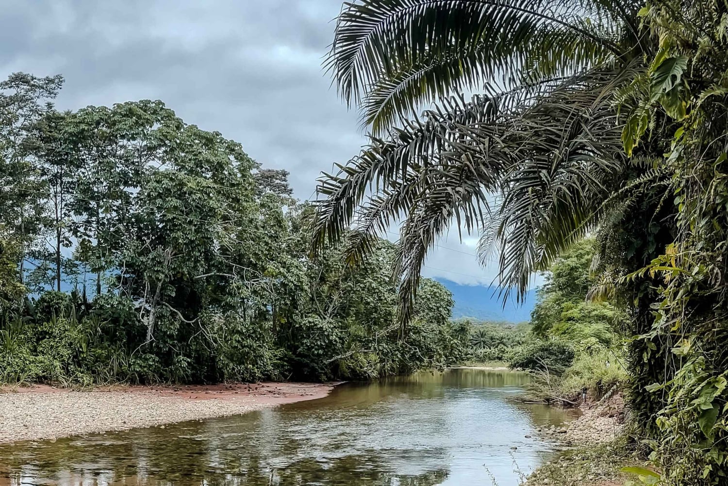 Leiri ja toimintaa Yaminon alkuperäisyhteisössä