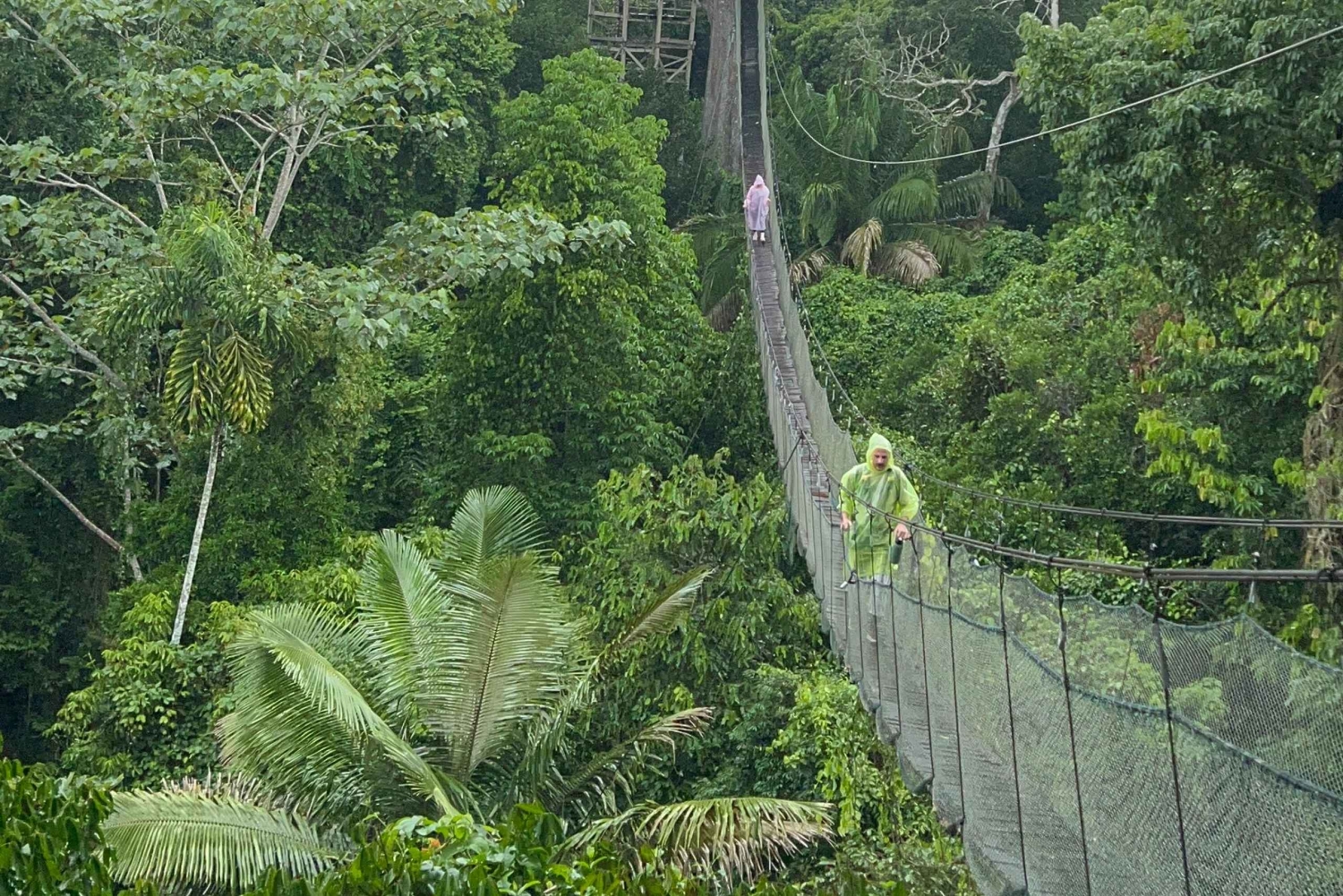 Canopy Tower, Zipline, Kayak, and Monkey Island …
