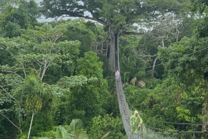 Canopy Tower, zipline, kajakk og Monkey Island ...