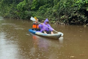 Canopy Tower, zipline, kajakk og Monkey Island ...