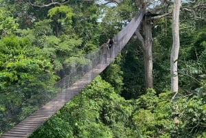 Canopy Tower, zipline, kajakk og Monkey Island ...