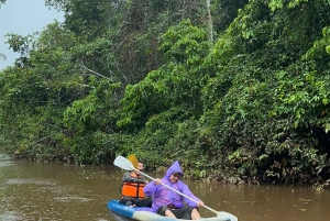 Canopy Tower, Zipline, Kayak, and Monkey Island …