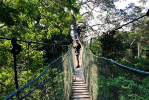 Canopy walk og abeøen