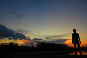 Capibara and caiman search on the Tambopata river