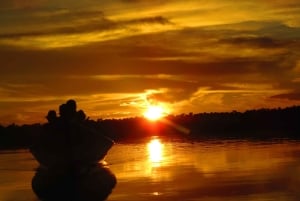 Capibara and caiman search on the Tambopata river