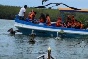 Mancora: Fisketurer med en ceviche-kokk - Catch & Savor