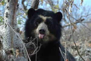 Chiclayo: Chaparri Ecological Reserve Tour