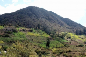 Chiclayo: Chaparri Ecological Reserve Tour