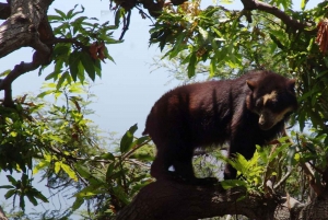 Chiclayo: Chaparri Ecological Reserve Tour