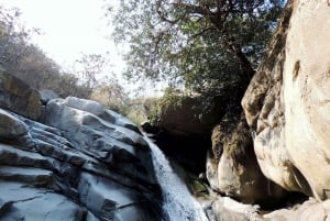 Chiclayo: Chaparri Ecological Reserve Tour